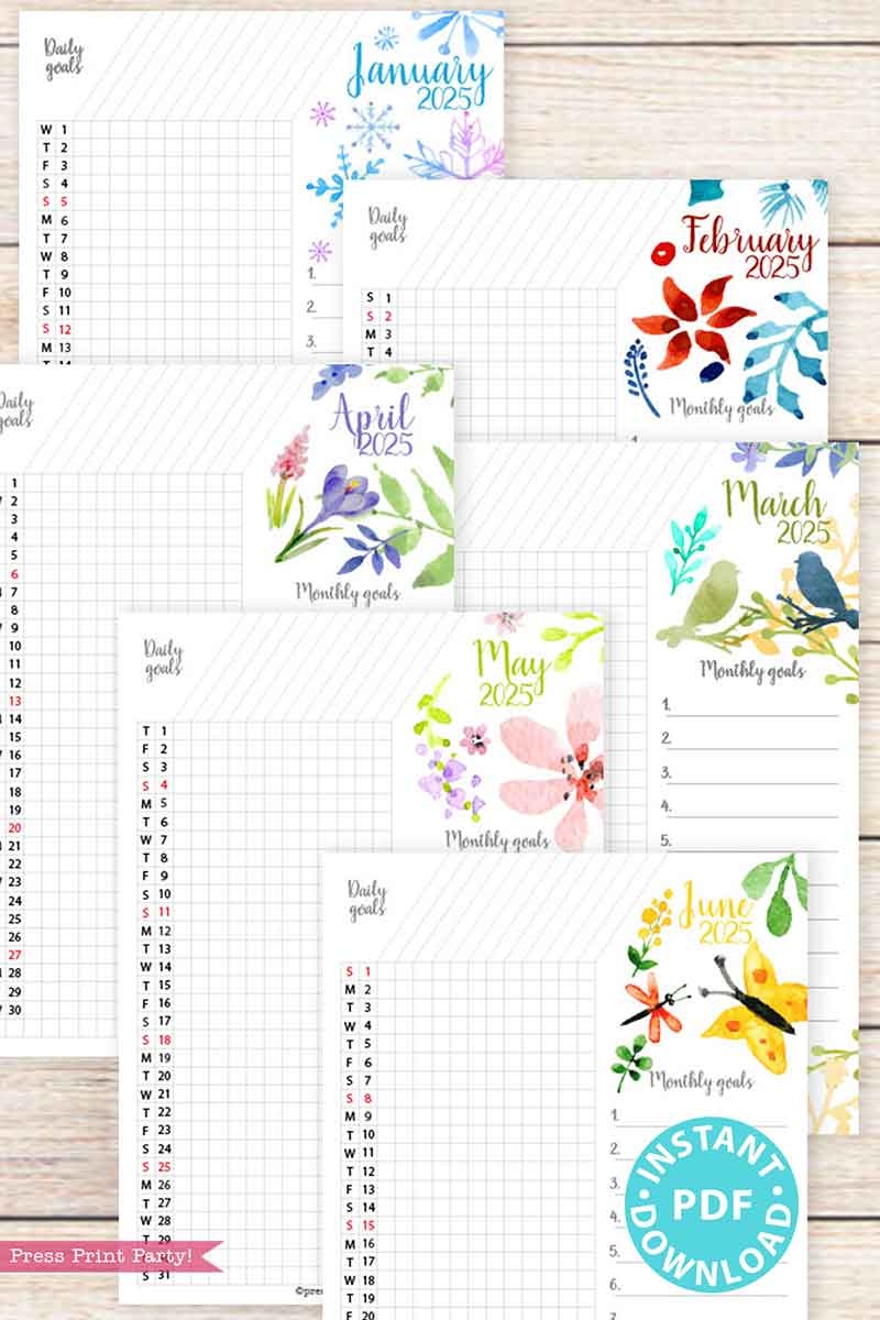 Daily Planner Calendar 2025 Printable