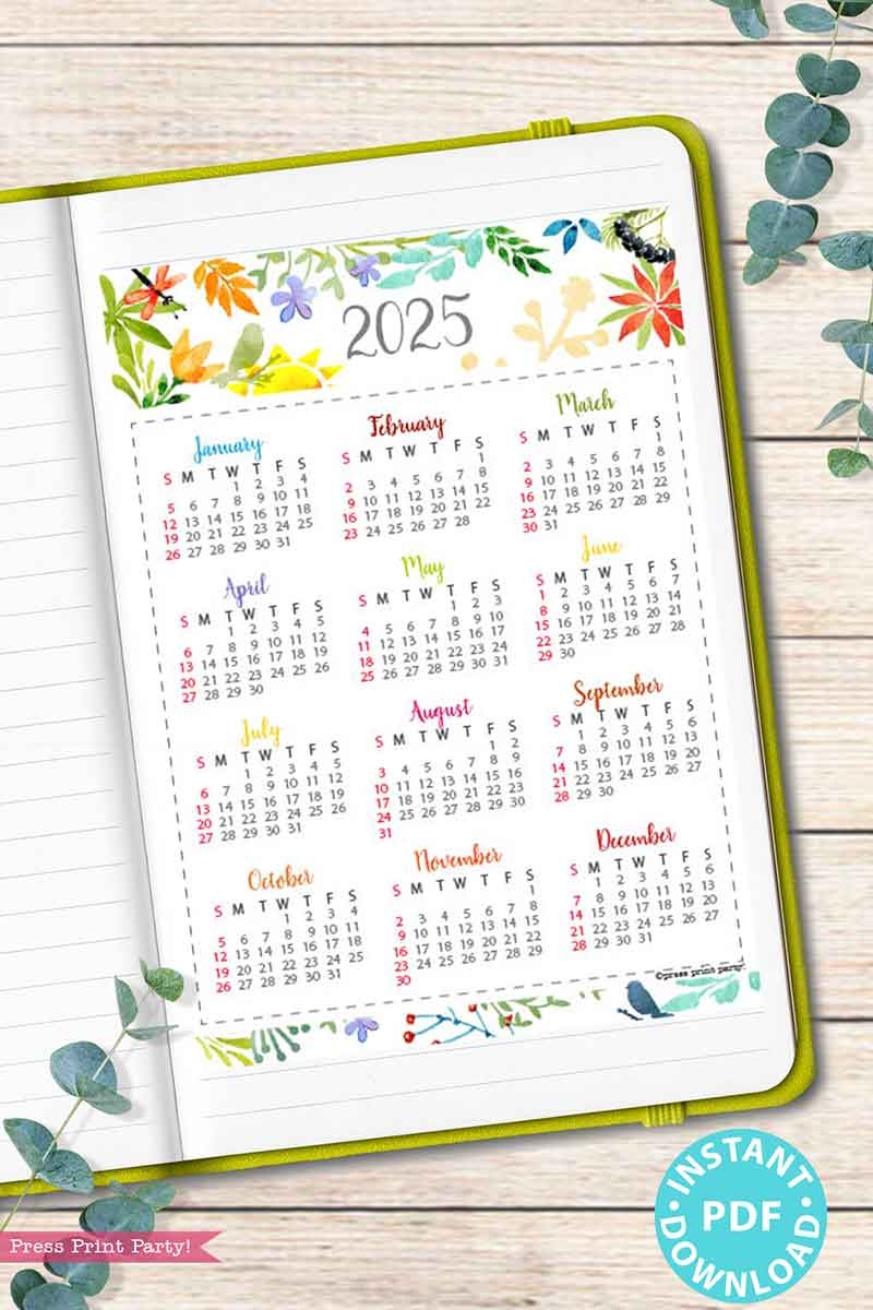 2025 One Page Calendar At a glance Printable Watercolor