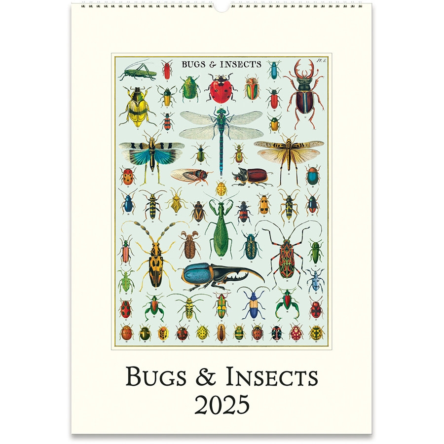 2025 Wall Calendar Bugs Insects Copperfield s Gifts Rarities