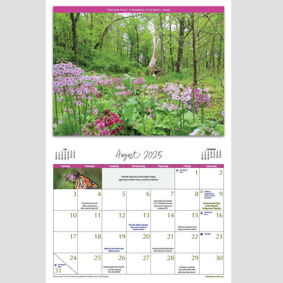 85 X 11 2025 Blank Printable Calendar