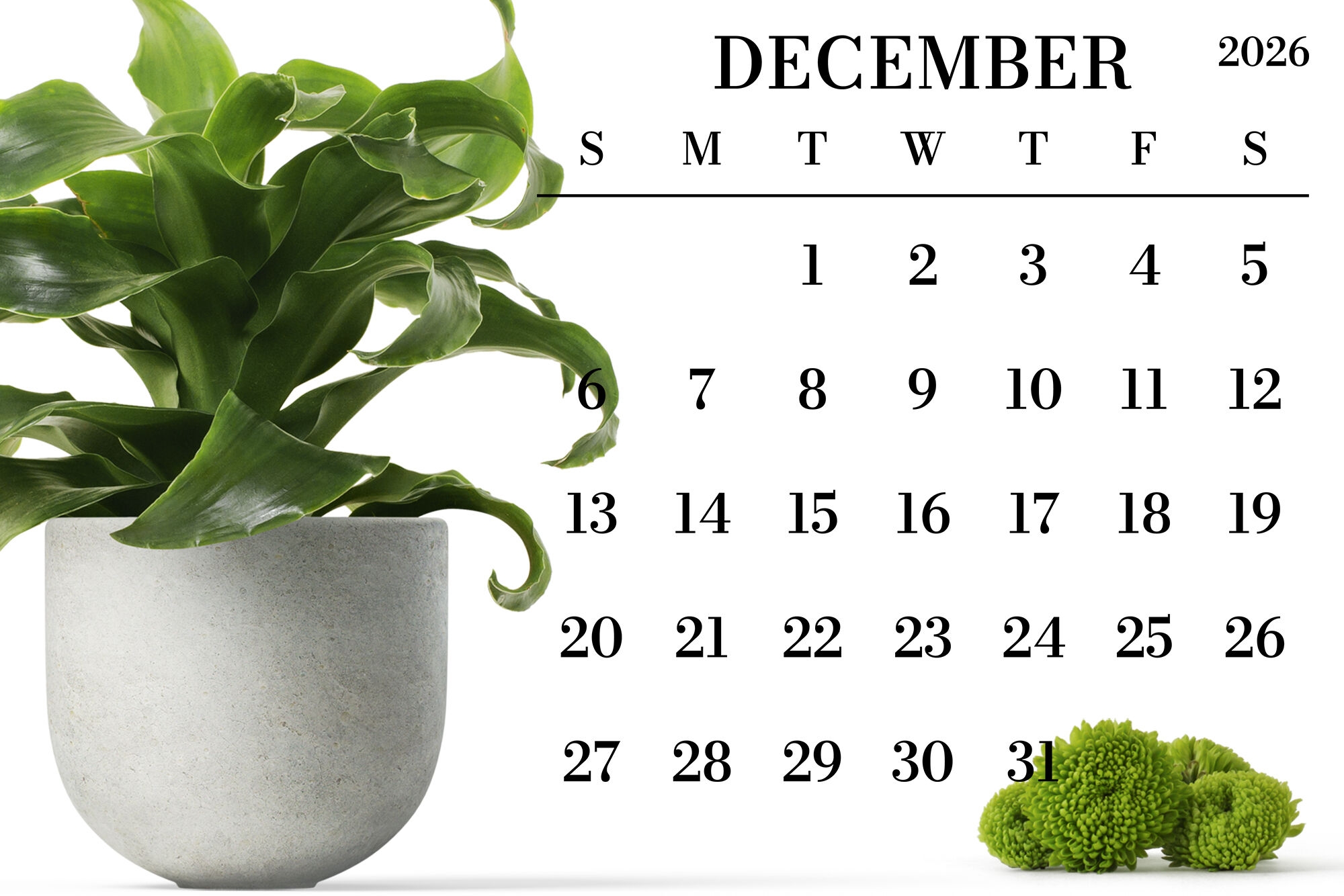 2026 Large Number Square Calendar By Running With Foxes TheHungryJPEG