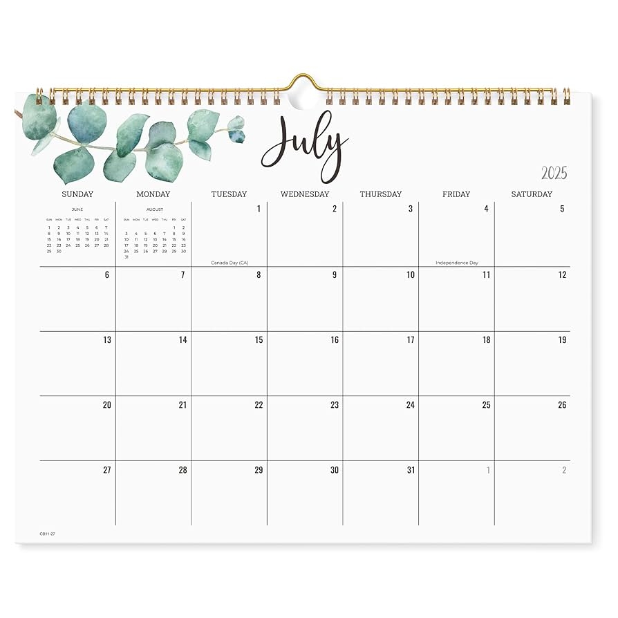 Amazon Cabbrix 2025 2026 Wall Calendar 17 Monthly Calendar Runs From March 2025 To June 2026 Home Schooling Planner For Family And School Wirebound 15 X 12 Inches Office Products