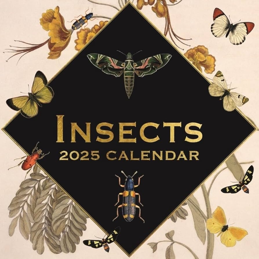 Amazon Insects 2025 Square Wall Calendar Arts 16 Months Premium Planner Gift Office Products