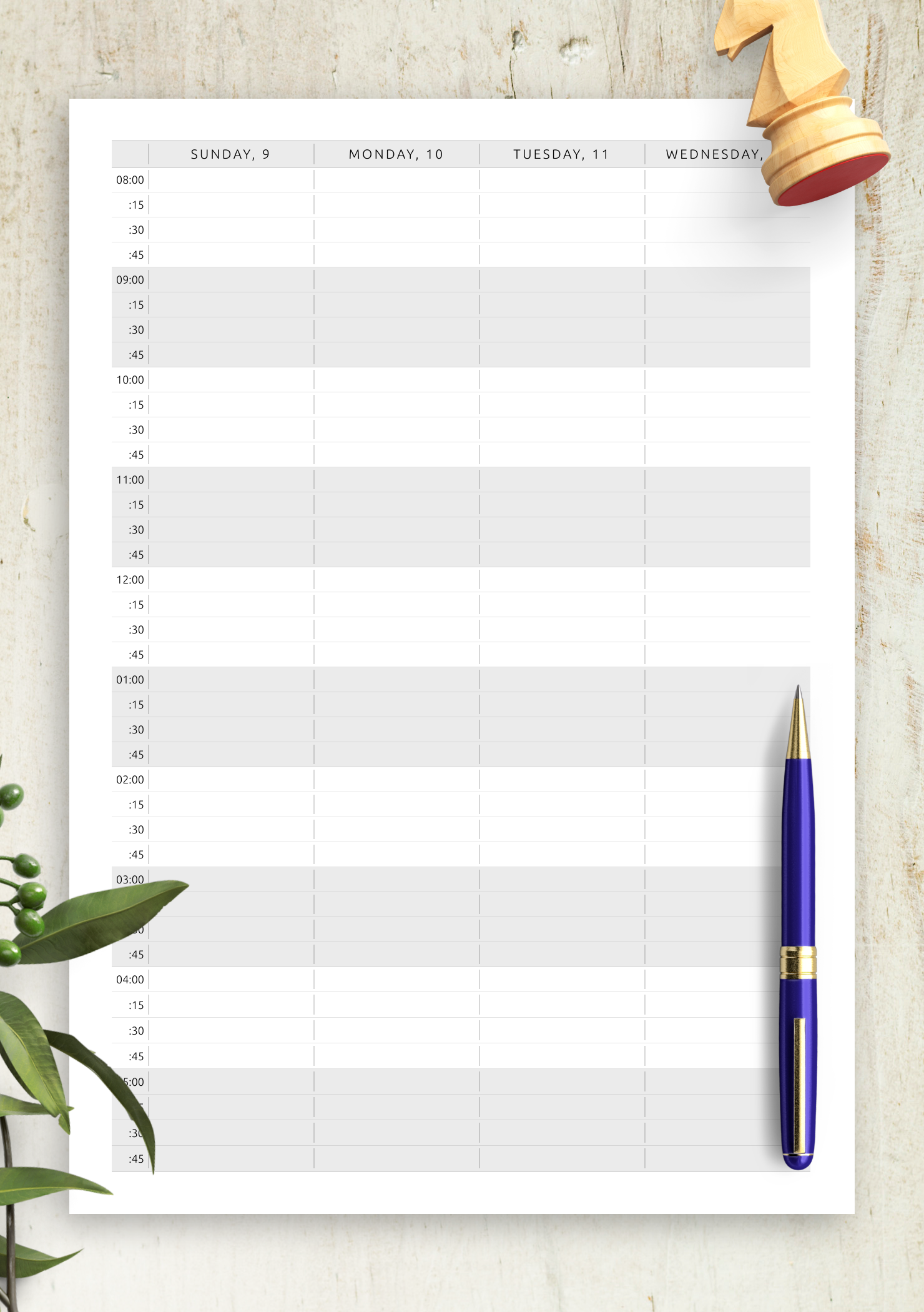 June 2026 Appointment Calendar Printable