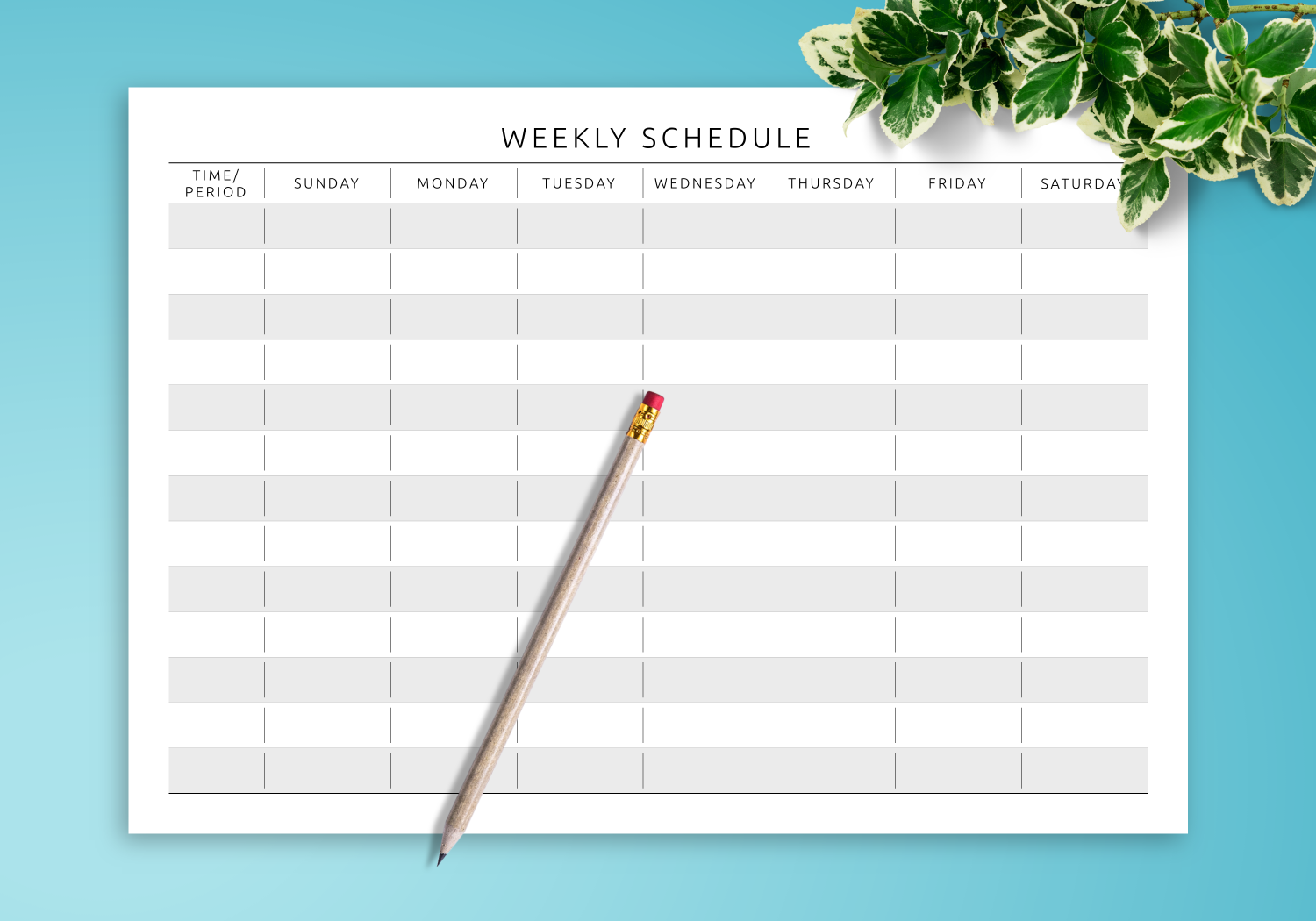 Download Printable Weekly Schedule Template Landscape View PDF
