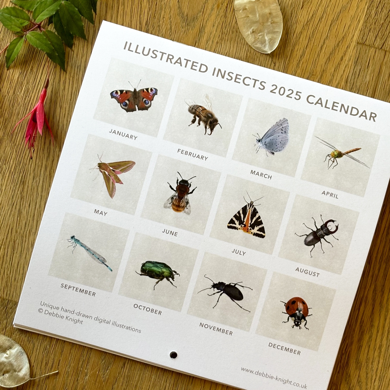 Insects Printable Calendar November 2025