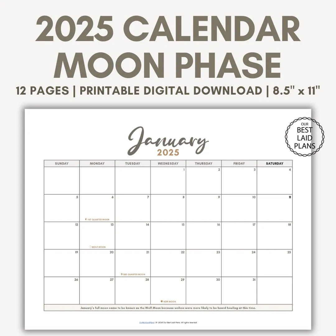 Moon Phase Calendar 2025 Printable PDF Moon Phase Calendar Page Boho Moon Phase Calendar Pink Moon Phase Today Calendar DOWNLOAD Etsy