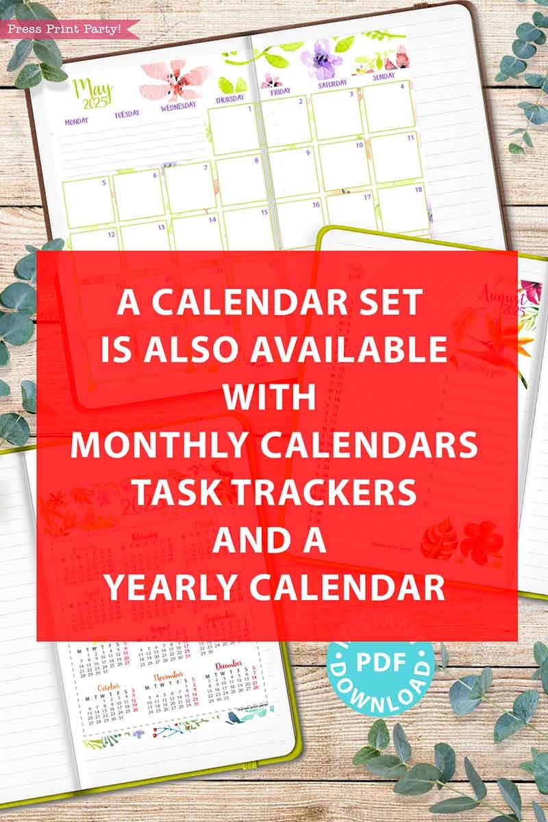 2025 One Page Calendar At a glance Printable Watercolor