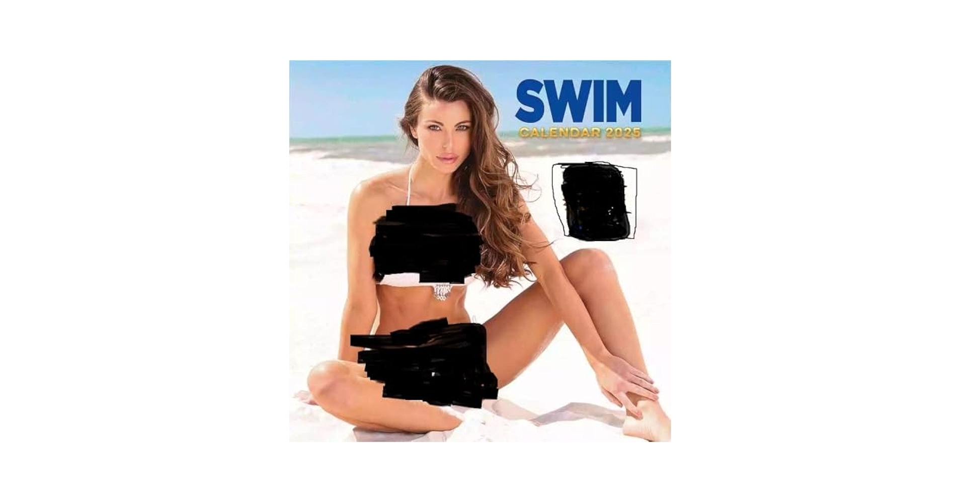 Amazon 2025 SWIM Wall Calendar Office Products