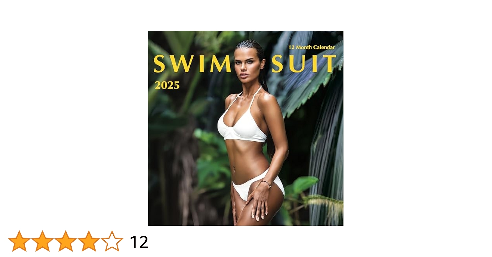Amazon 2025 Swimsuit Babes Wall Calendar Large Swim Suit Hot Beautiful Women Girls Photography Photo Gifts For Him Valentine s Birthday Gift 2025 Swimsuit 