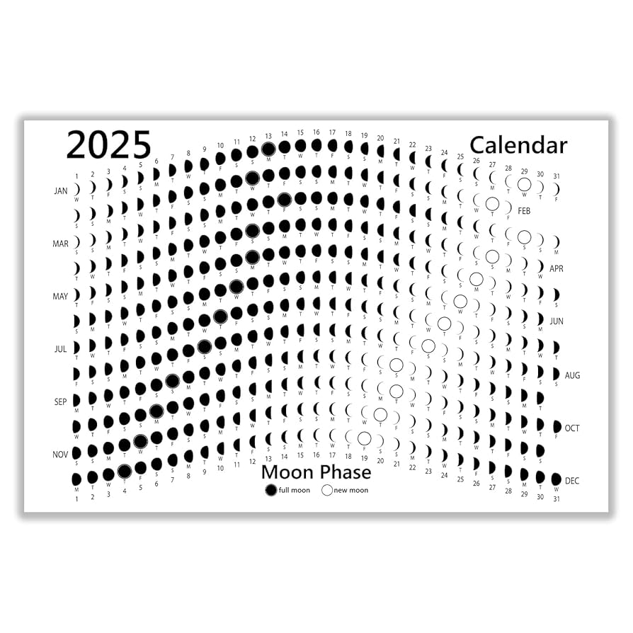 Amazon FEOFTIE Moon Calendar 2025 Lunar Phases Dark Lunar Wall Poster 12x16 Inch 2025 Moon Phase Calendar Moon Calendar 2025 Moon Phase Poster At A Glance 2025 Calendar For Living Room Bedroom