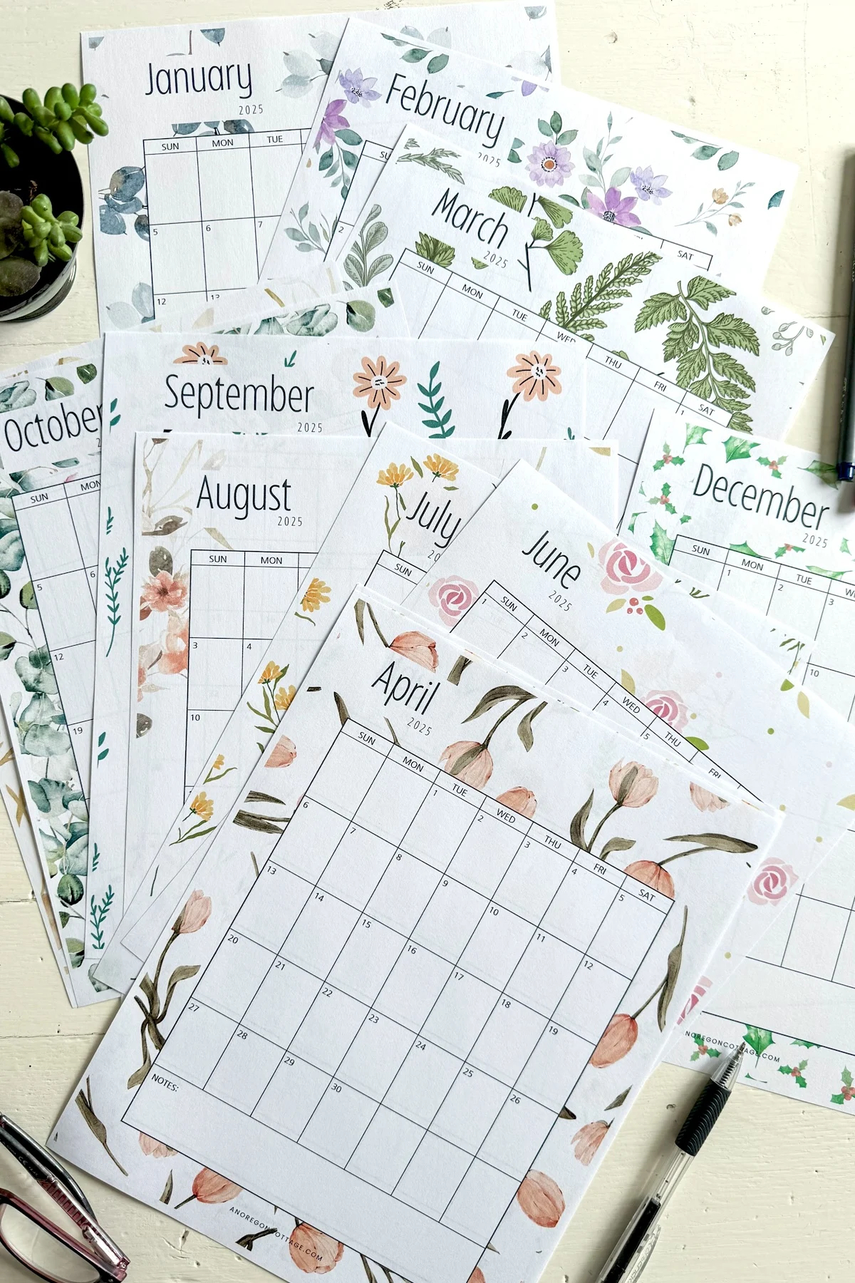 2025 12 Month Printable Calendar Cute